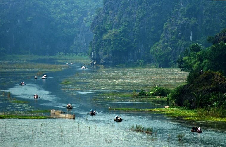 Thiên nhiên